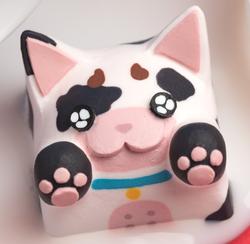 Hello Caps - Bongo Cat v2 - Cow-a-bongo