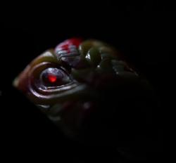 haoN - Slain - Elvarg