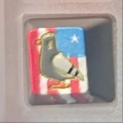 Level caps - Sky Rat - ’Merica