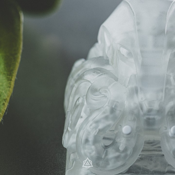 Archetype - X-Ray Endokolk