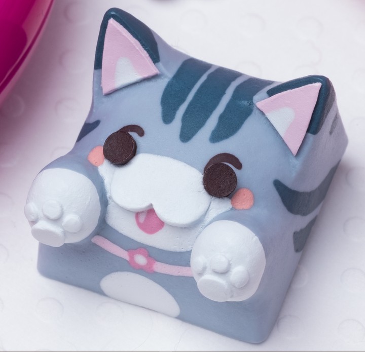 Hello Caps - Lolly Bongo Cat v2