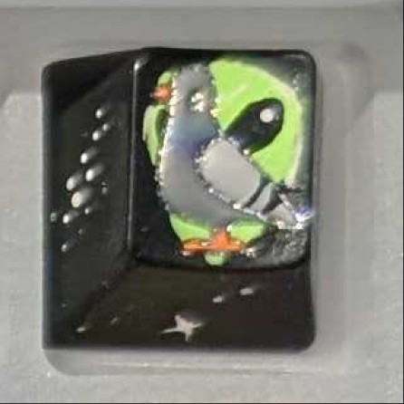 Level caps - Birds are real Sky Rat