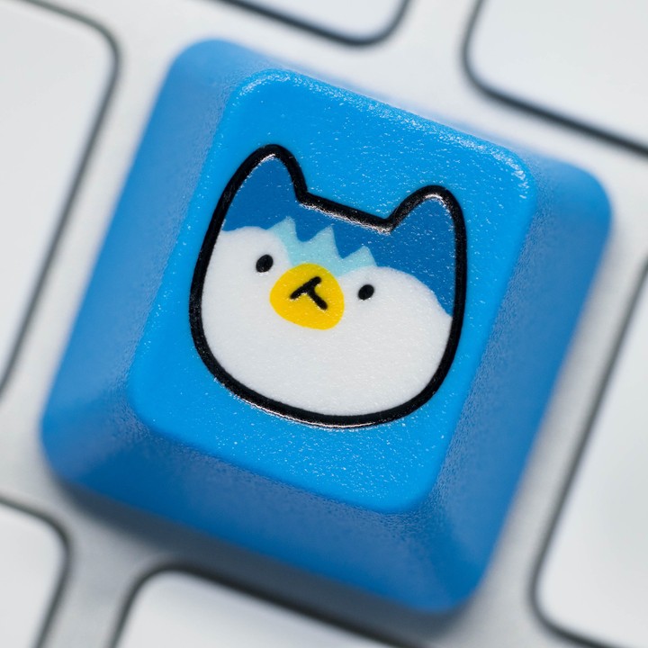 Soom Caps - Piplup Soomblank