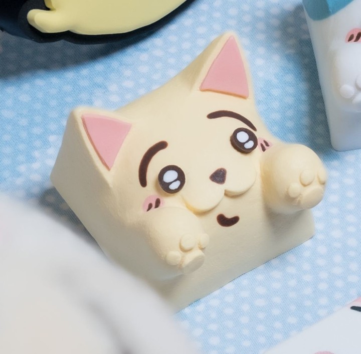 Hello Caps - Yaha! Bongo Cat v2