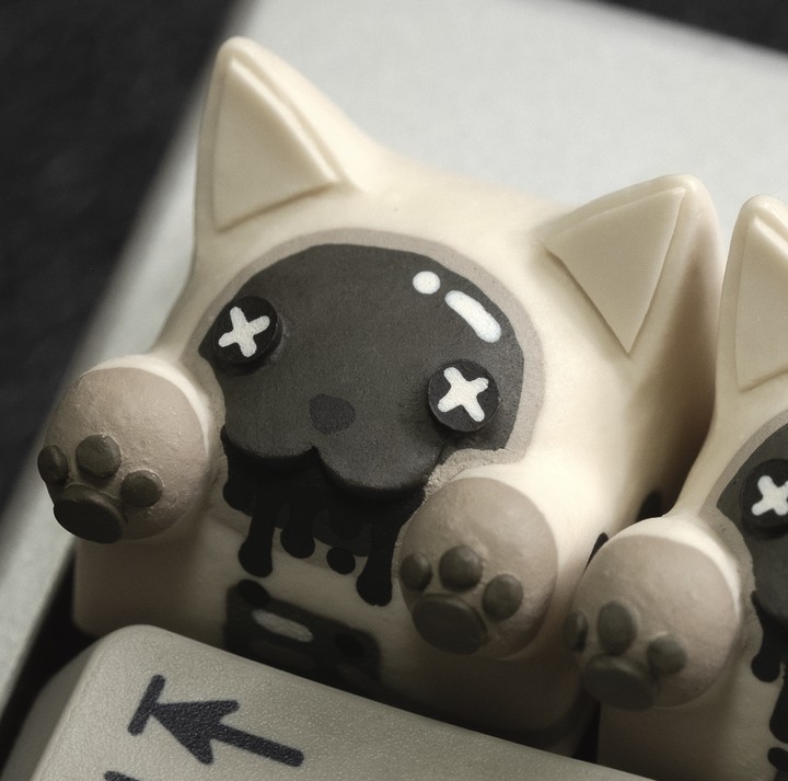 Hello Caps - Final Frontier Bongo Cat v2