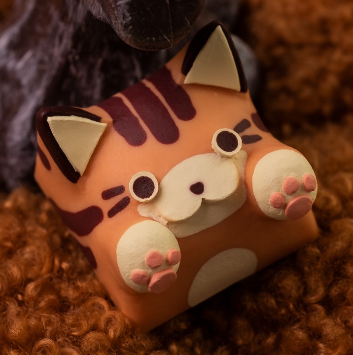 Hello Caps - Pumpkin Spice Bongo Cat v2