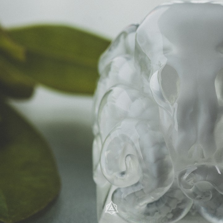 Archetype - X-Ray EctoKolk
