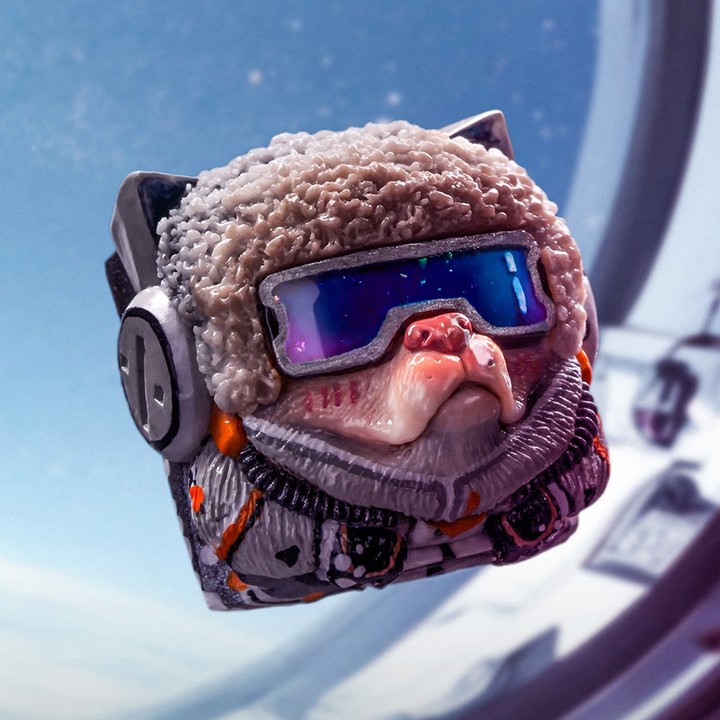 Artkey - Ski Fanatic Sirius