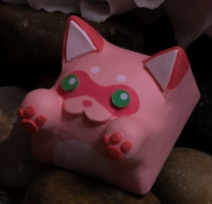 Hello Caps - Be mine Bongo Cat v2