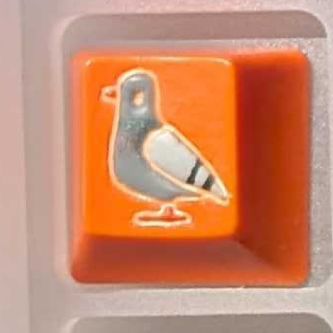 Level caps - Plain Orange Sky Rat