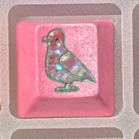 Level caps - Pink Pearl Sky Rat