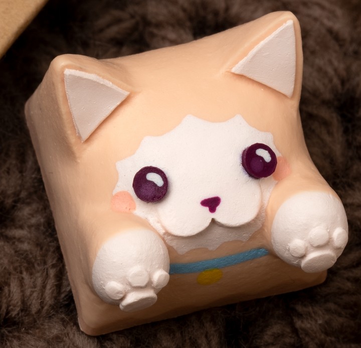 Hello Caps - Dolly llama Bongo Cat v2