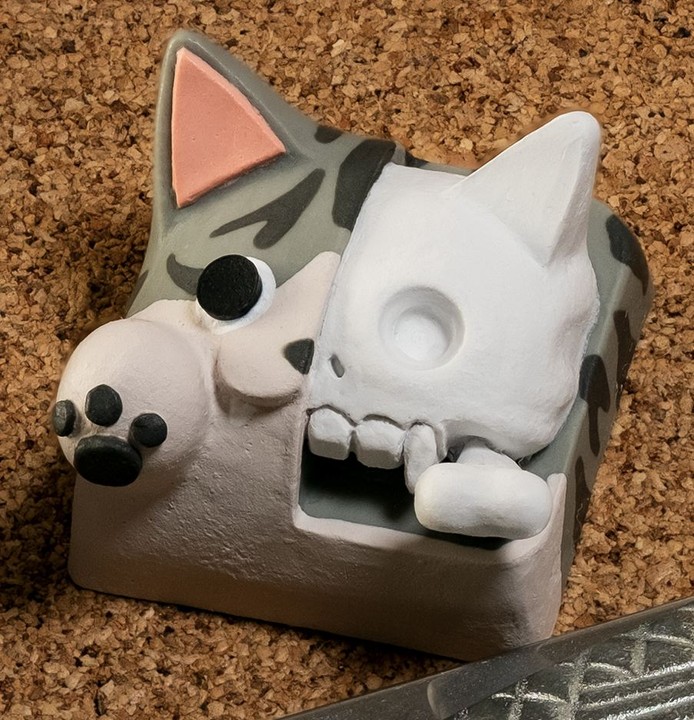 Hello Caps - FishEye Schrodinger