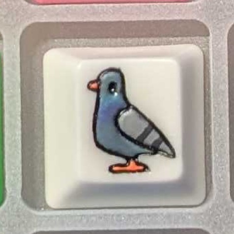 Level caps - Plain White Sky Rat