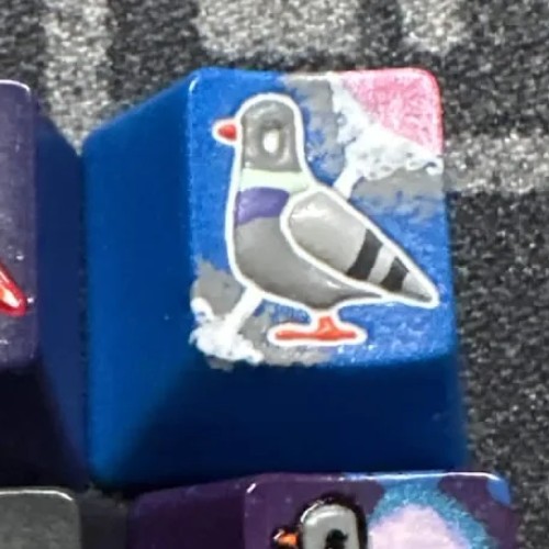 Level caps - Blast Off Sky Rat