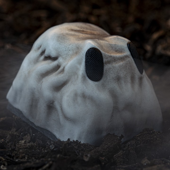 Archetype - Boo Who Kolkrabba varients