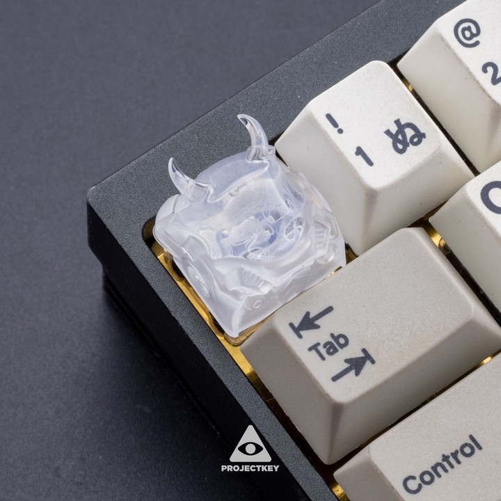 ProjectKey - Ice Cube Space Skull v2