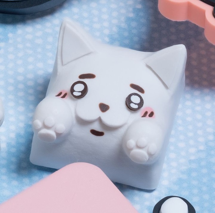 Hello Caps - Crybaby Bongo Cat v2