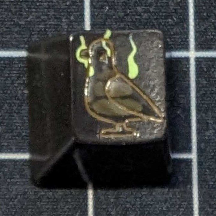 Level caps - Shit Bird Sky Rat