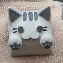 Hello Caps - Pusheen Bongo Cat v2