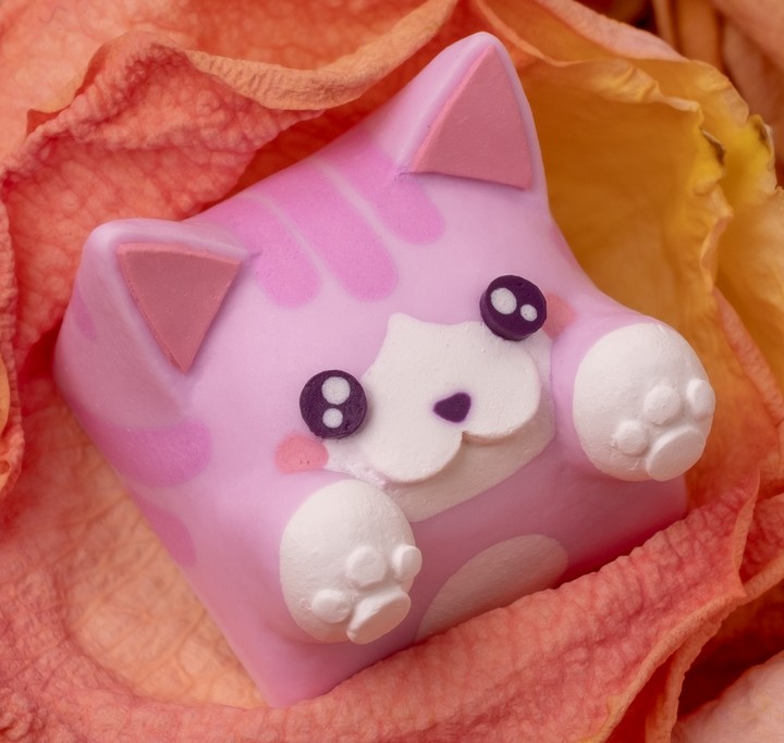 Hello Caps - Pretty in pink Bongo Cat v2