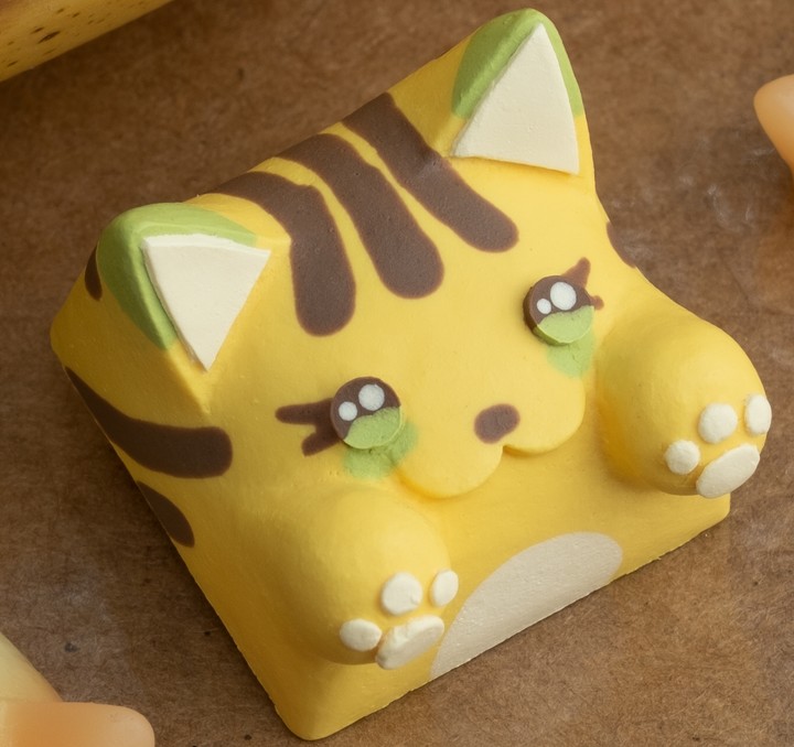 Hello Caps - Crocodile tears Bongo Cat v2