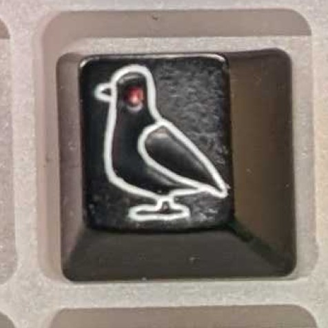 Level caps - Terminator Sky Rat