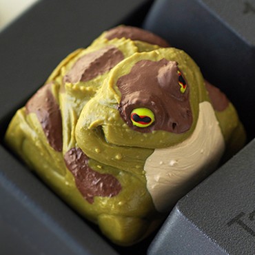 Bro Caps -  Toadster