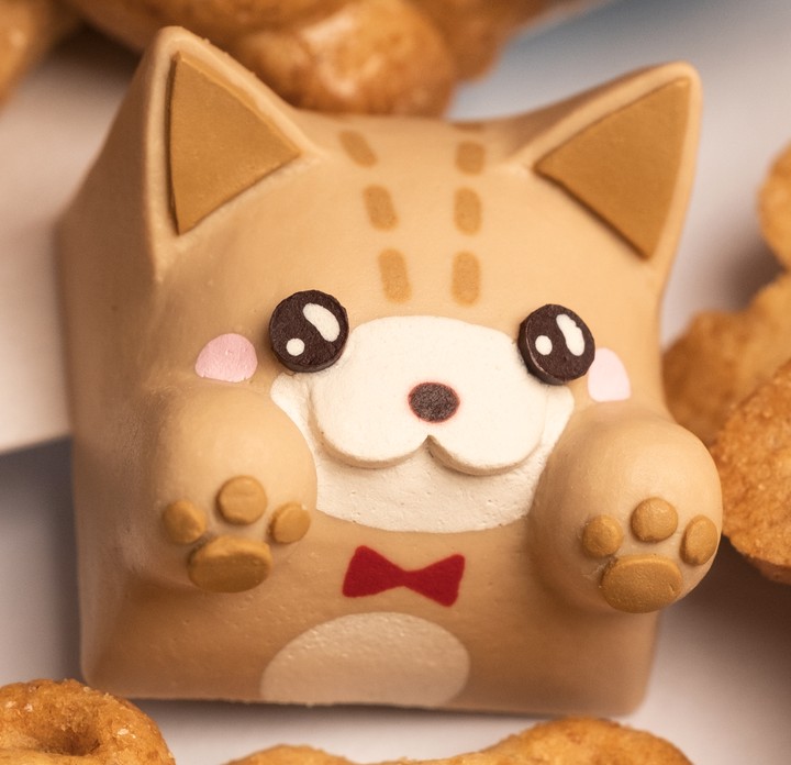 Hello Caps - Teddy Bongo Cat v2