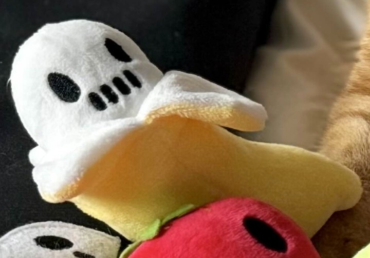 KeyKollectiv - Banana Keychain Accessories