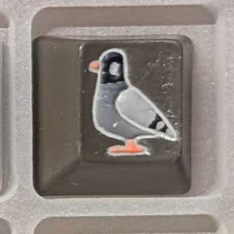 Level caps - Plain Gray (Dark) Sky Rat