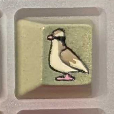 Level caps - Pidgey Sky Rat