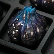 Nightcaps - melLO midnights Lunar Allium