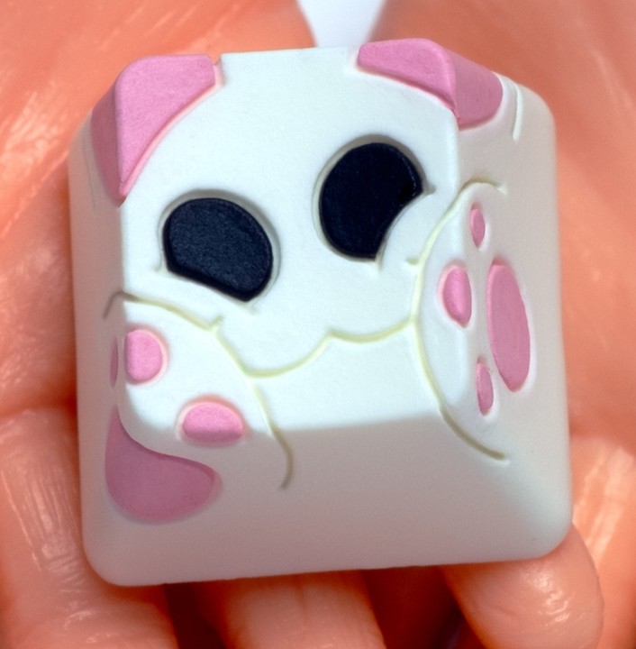 Hello Caps - OG Bongo Splat v2