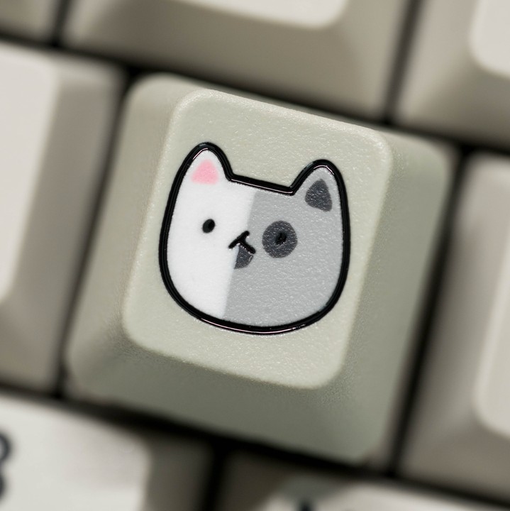 Soom Caps - Poor Man’s Schrödinger Soomblank