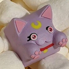 Hello Caps - Diana Bongo Cat v2