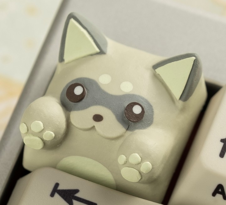 Hello Caps - Everything I am Bongo Cat v2