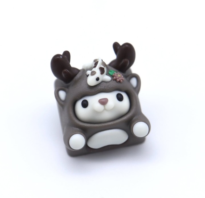 Namong - Kohaku (Sloth) Rudory