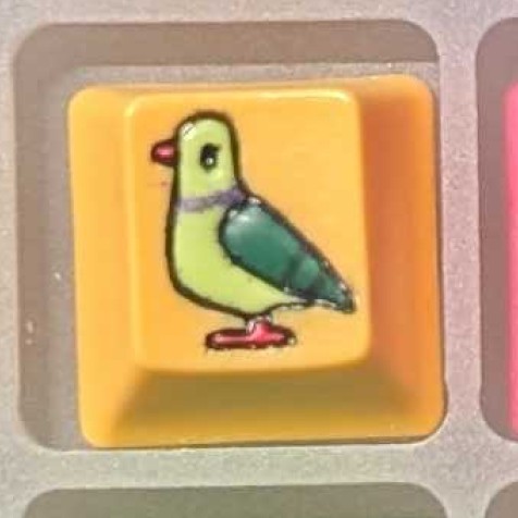 Level caps - Avocado in the Sun Sky Rat