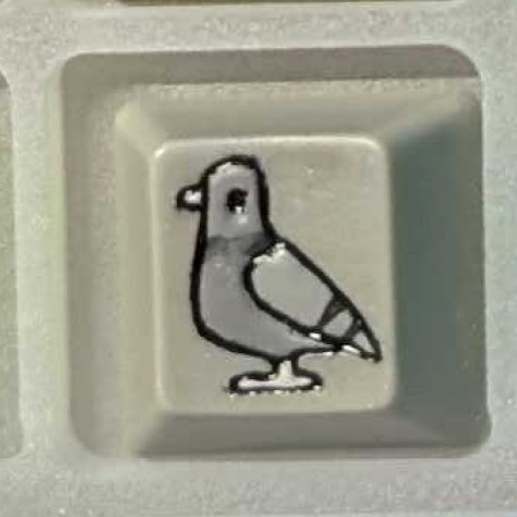 Level caps - Mono Gray Sky Rat