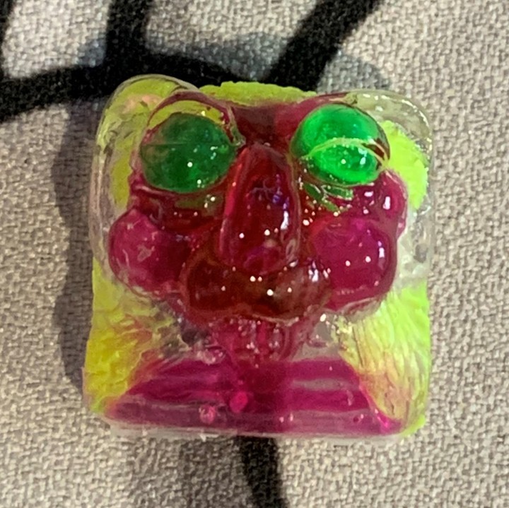 Bogan Caps - Xray - Hot Trash Koala-Gare