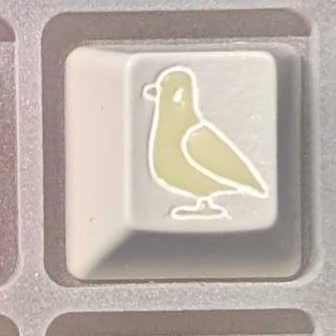 Level caps - Night Vision Sky Rat