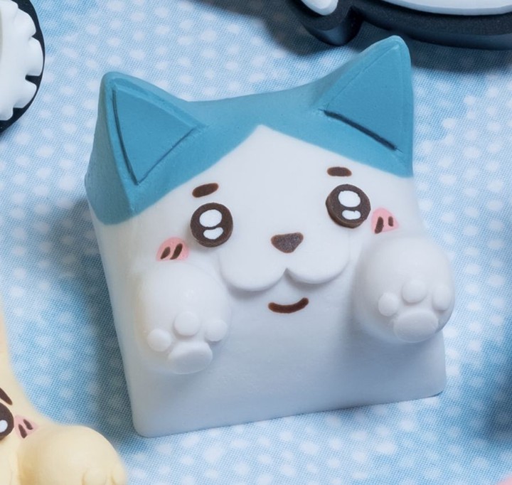 Hello Caps - Best-friend Bongo Cat v2