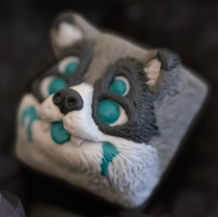 Grimey as Fuck - Dishonor Dolsshh (MX) Trash Panda v4