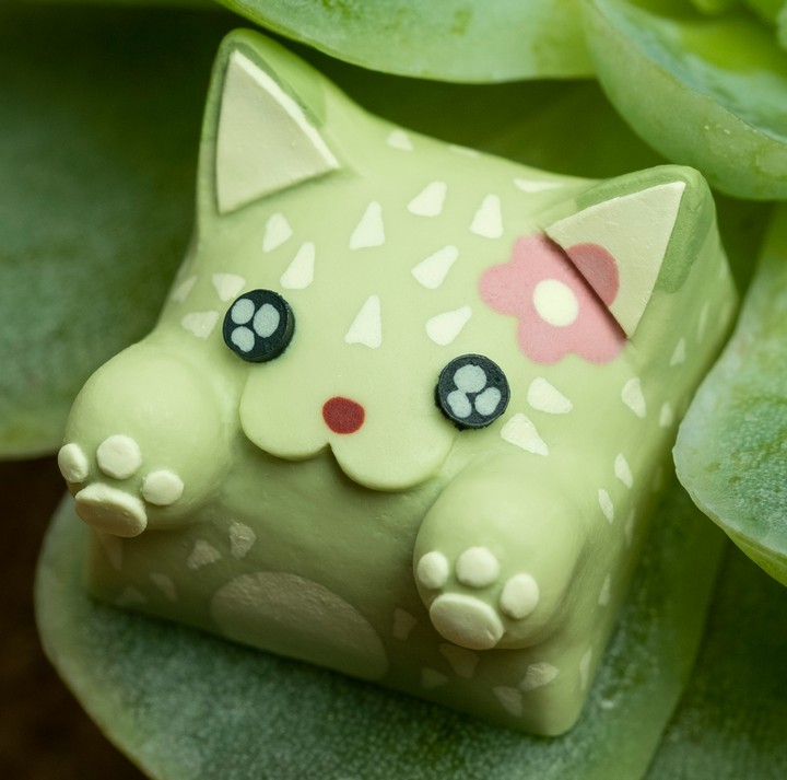 Hello Caps - Prickly Pear Bongo Cat v2