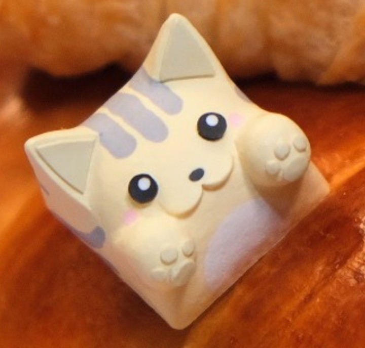 Hello Caps - Purin kot Bongo Cat v2