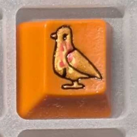 Level caps - Light my Fire Sky Rat