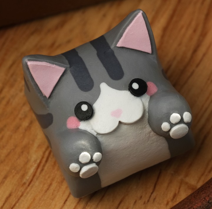 Hello Caps - Tomcat Bongo Cat v2