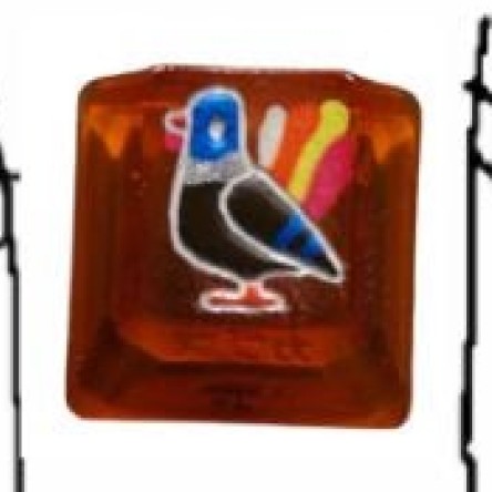 Level caps - Turkey Frame Sky Rat