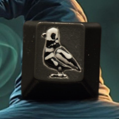 Level caps - X-ray Sky Rat